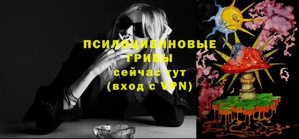 дмт Болохово