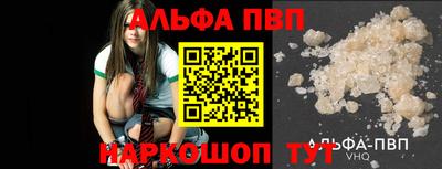 твердый Кингисепп