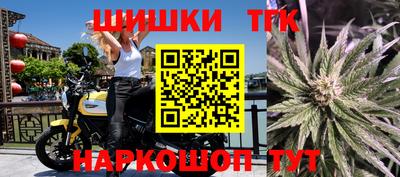 твердый Кингисепп