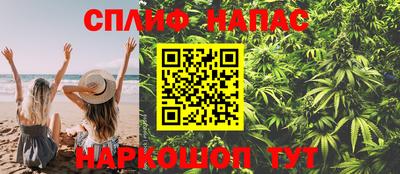 твердый Кингисепп