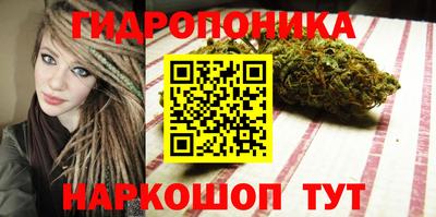 твердый Кингисепп