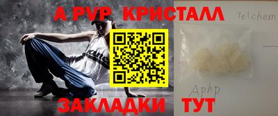 твердый Кингисепп