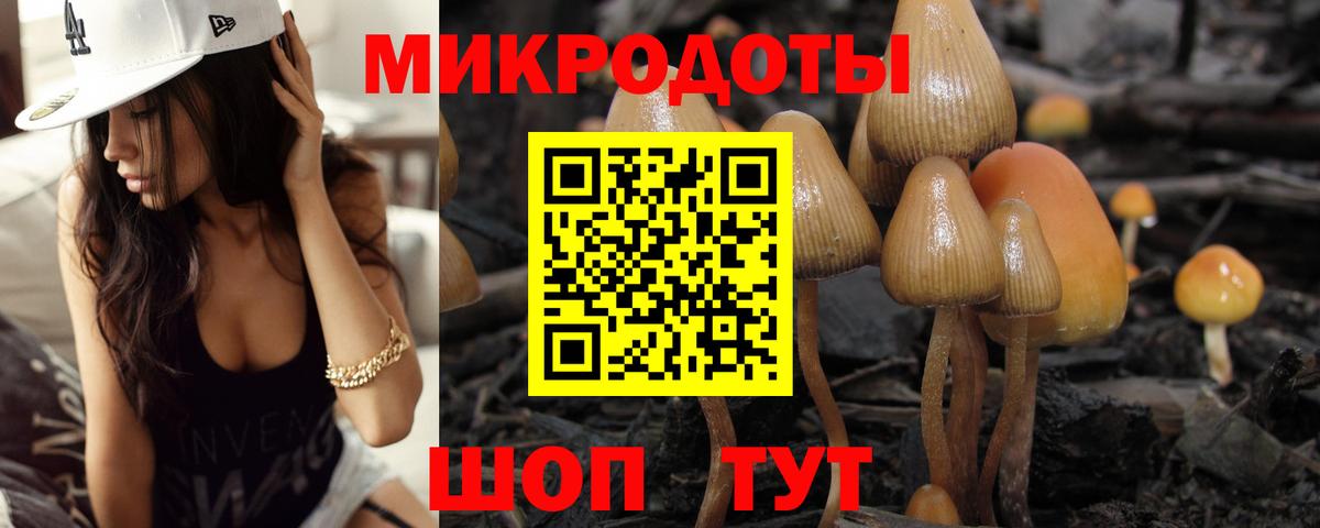 Галлюциногенные грибы Cubensis  Вход с VPN  Миасс 